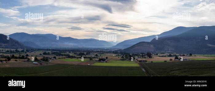 can - 素材 - Canva可画