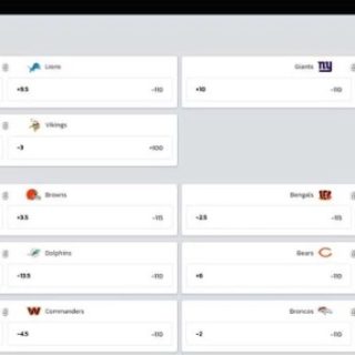 Popular betting websites with extensive game lists