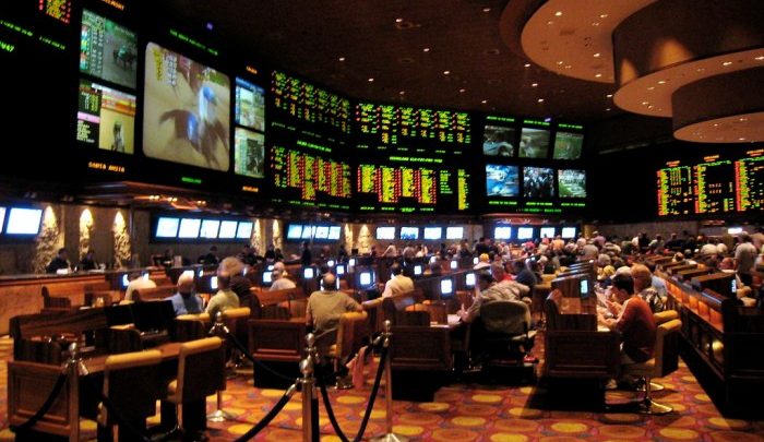 Comprehensive online betting platforms reviews